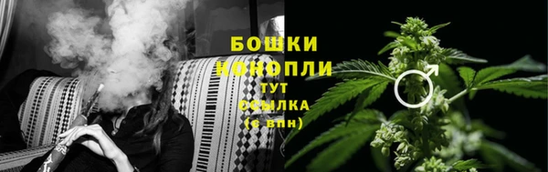 трава Арсеньев